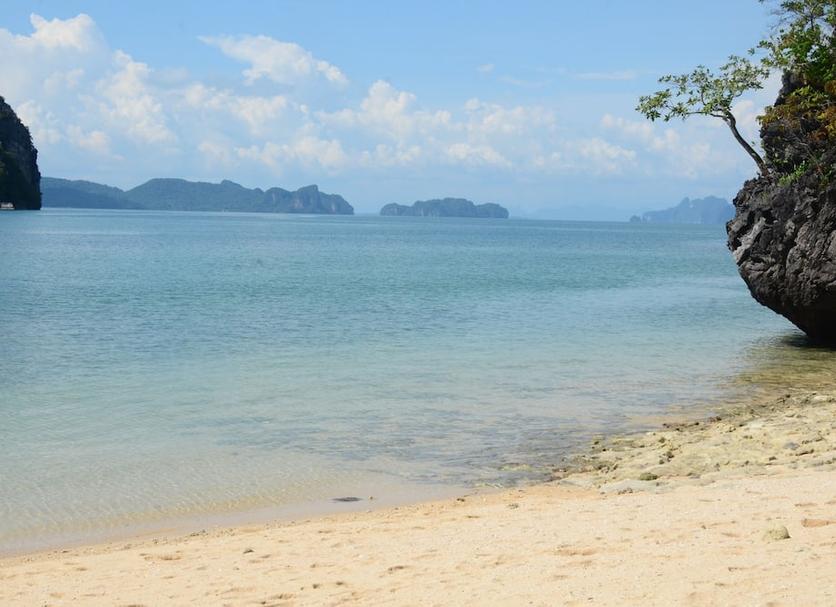 อื่น ๆ รูปภาพ