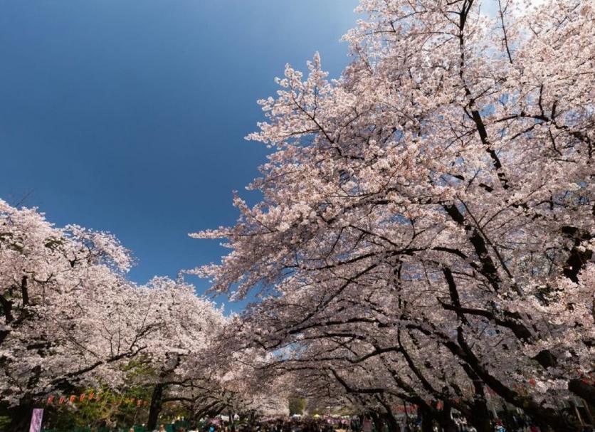 วิวภายนอก รูปภาพ