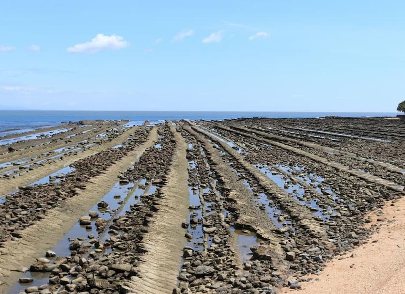 ชายหาด รูปภาพ