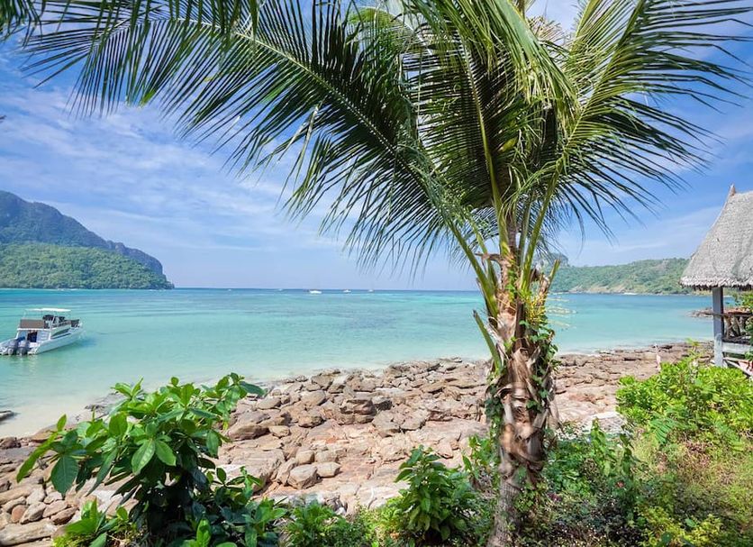 ชายหาด รูปภาพ