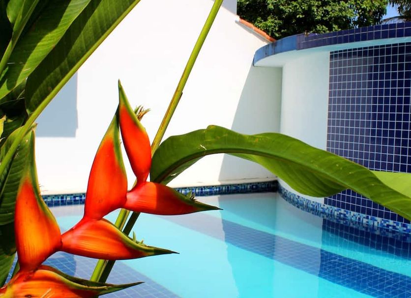 สระว่ายน้ำ รูปภาพ