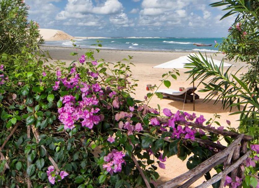 ชายหาด รูปภาพ
