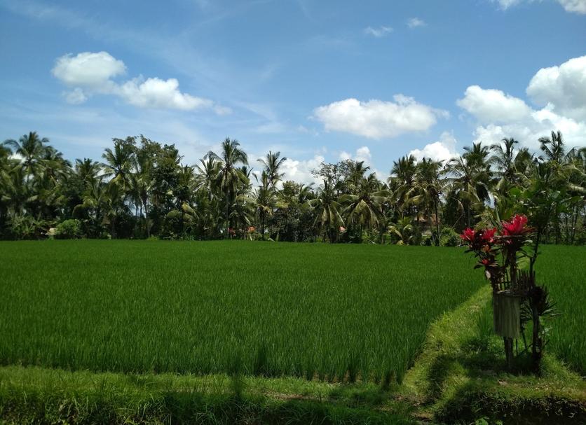 วิวภายนอก รูปภาพ