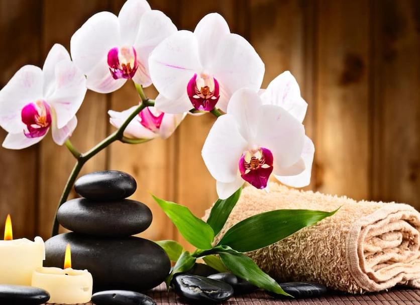 สิ่งอำนวยความสะดวกห้องพัก รูปภาพ
