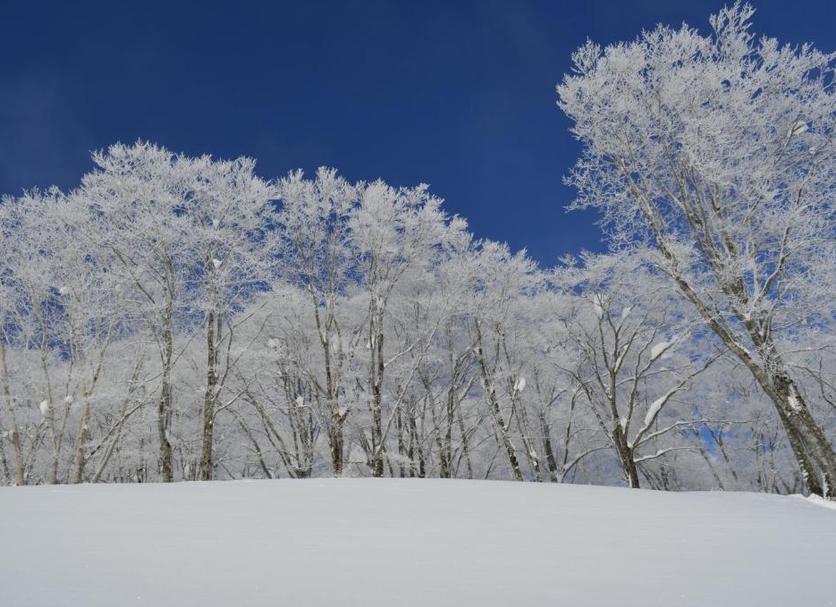 วิวภายนอก รูปภาพ
