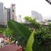 วิวภายนอก