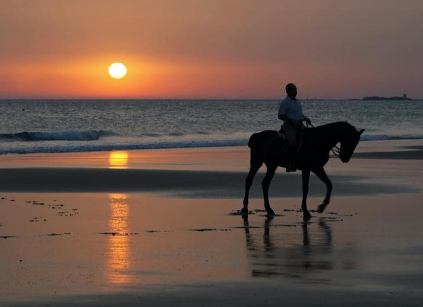 ชายหาด รูปภาพ