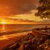 ชายหาด