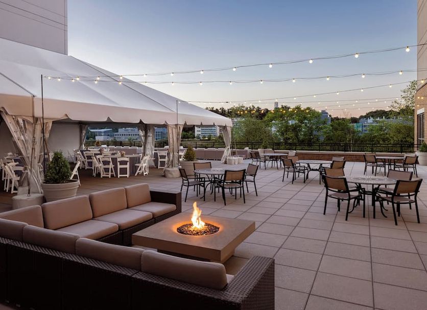 ลาน รูปภาพ