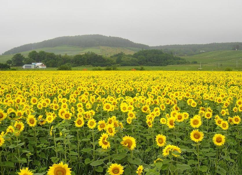 วิวภายนอก รูปภาพ
