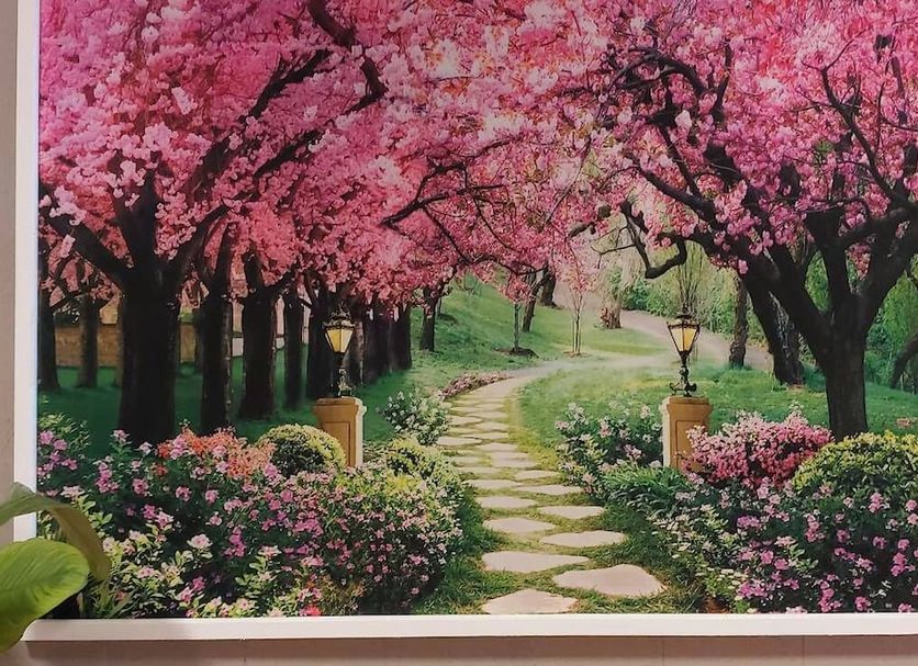 วิวภายนอก รูปภาพ
