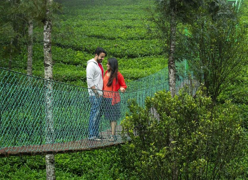 อื่น ๆ รูปภาพ
