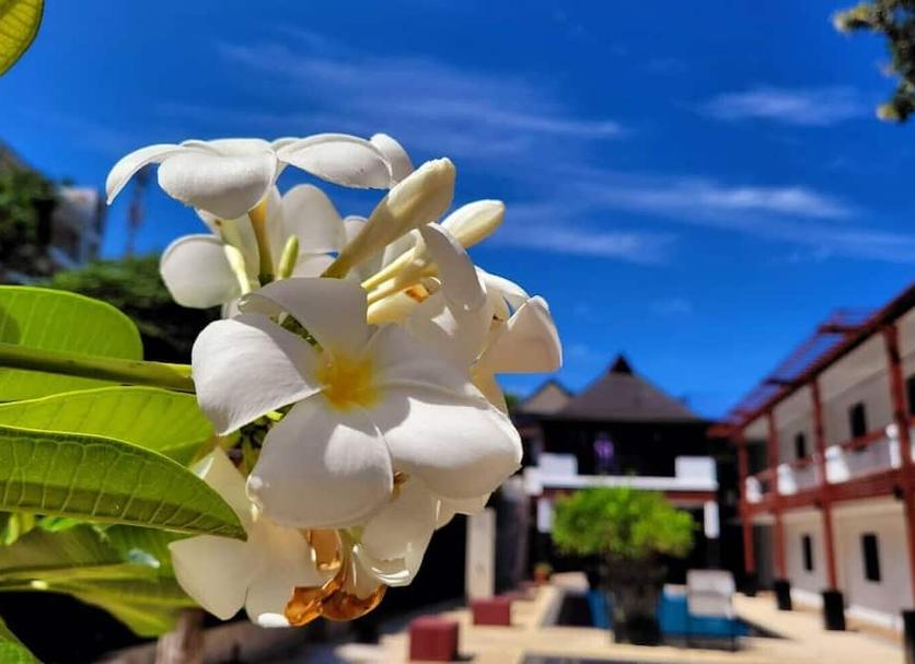 วิวภายนอก รูปภาพ