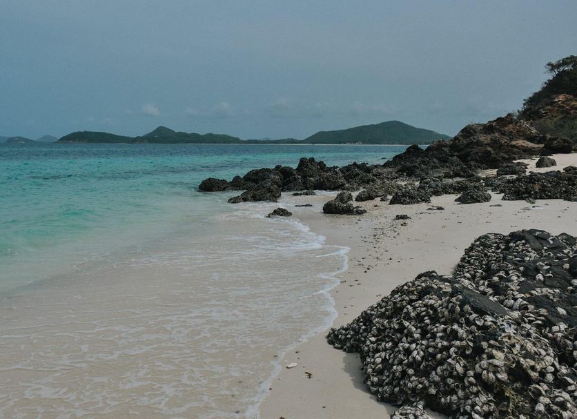 ชายหาด รูปภาพ
