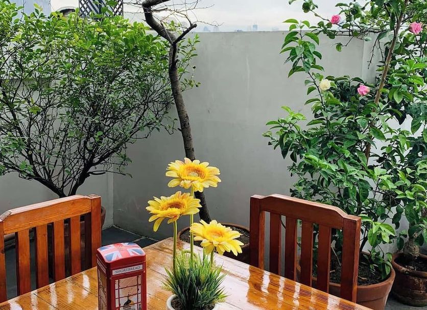 ลาน รูปภาพ