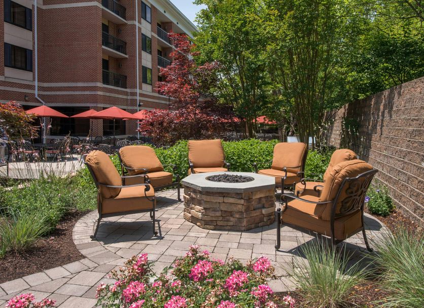 ลาน รูปภาพ