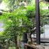 วิวภายนอก
