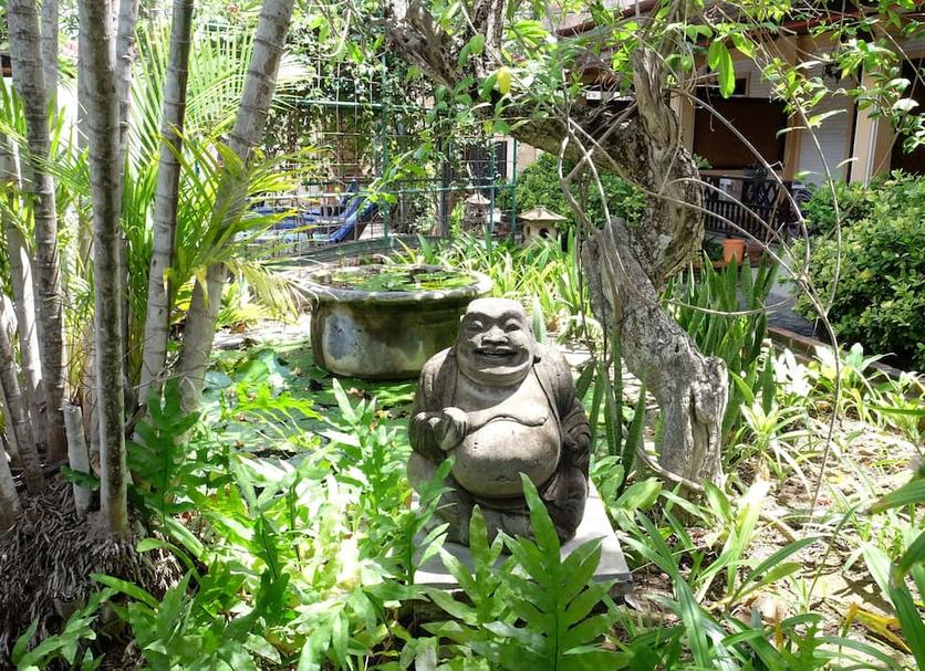อื่น ๆ รูปภาพ