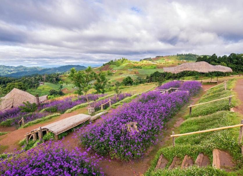 วิวภายนอก รูปภาพ