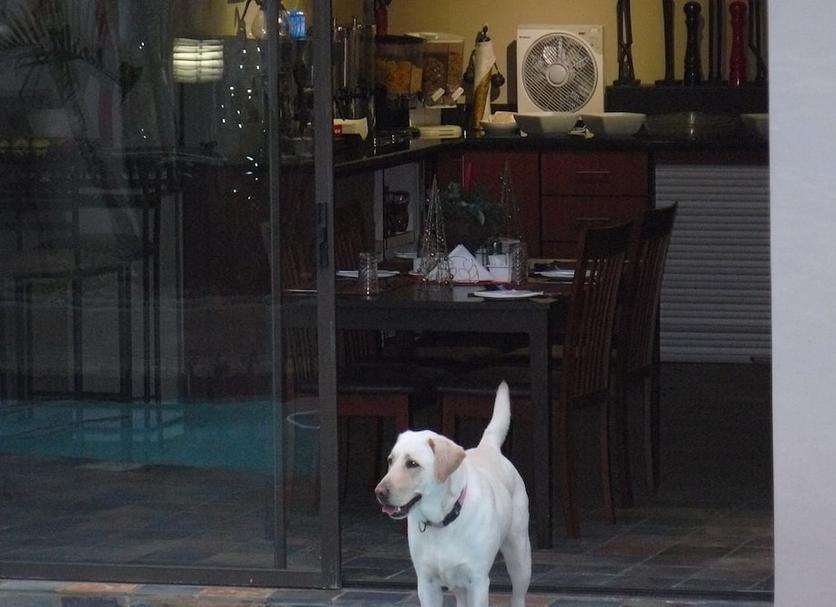 อื่น ๆ รูปภาพ