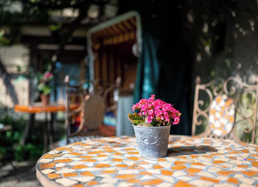 ลาน รูปภาพ