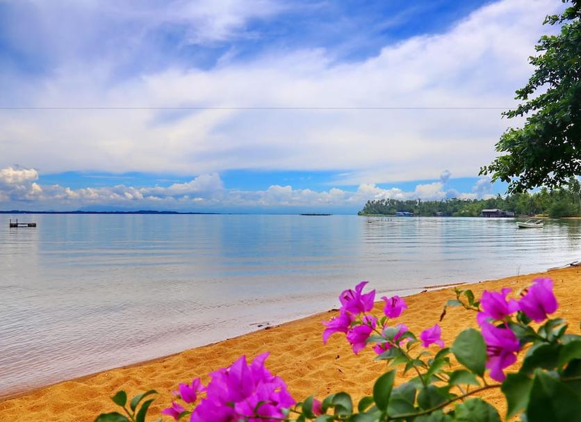 ชายหาด รูปภาพ
