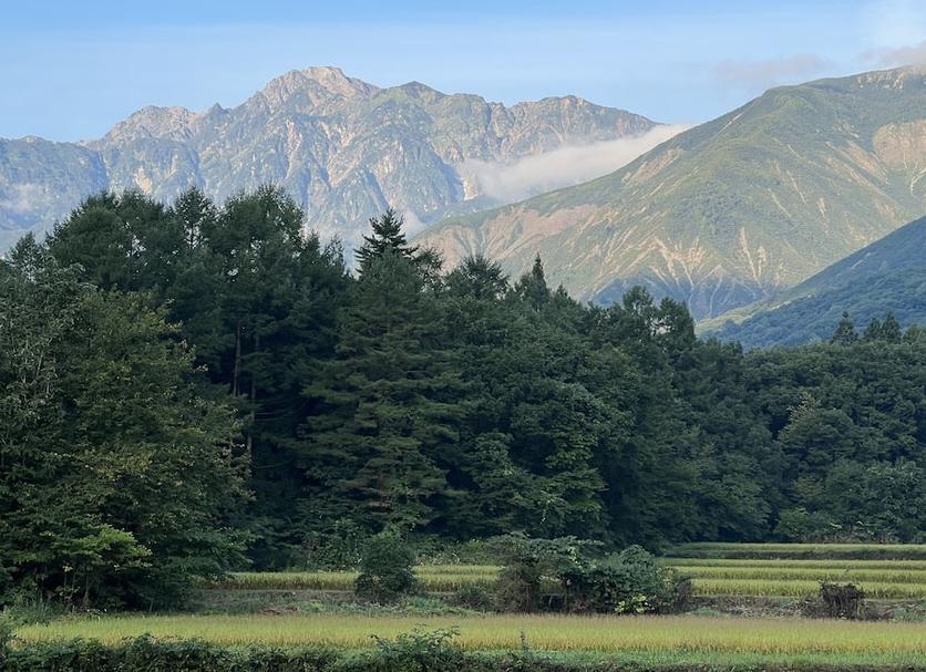 วิวภายนอก รูปภาพ