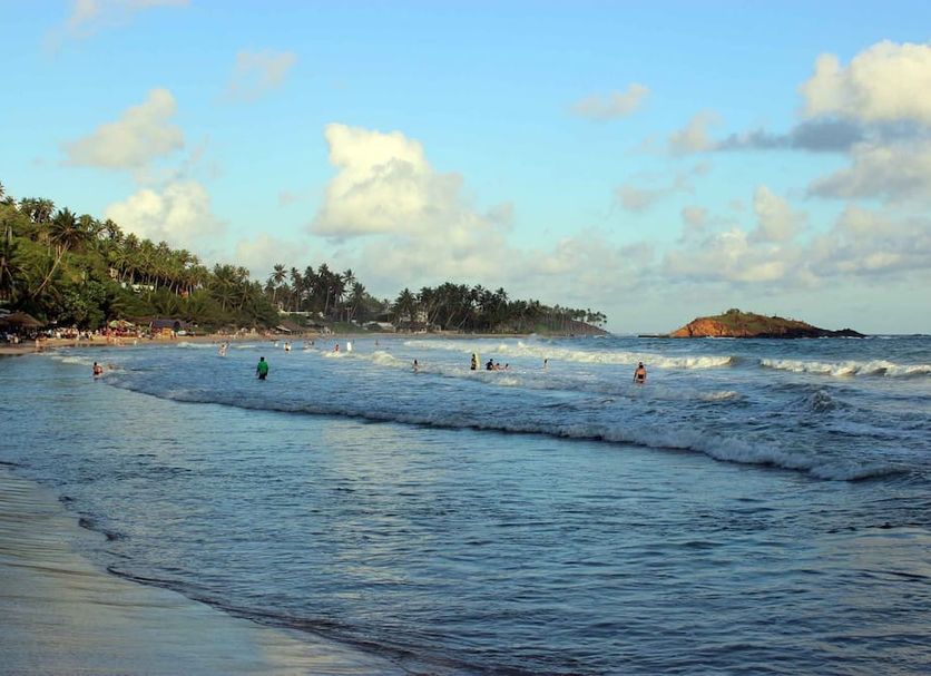 อื่น ๆ รูปภาพ