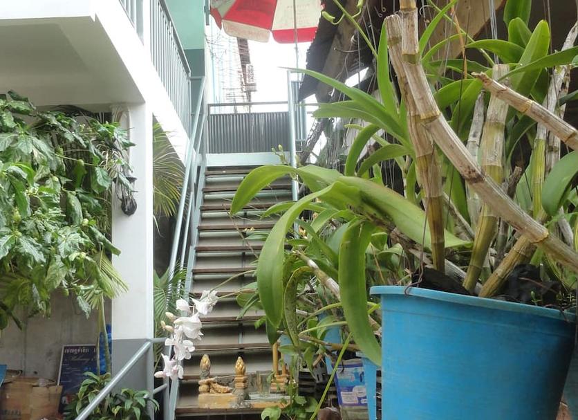อื่น ๆ รูปภาพ