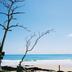 ชายหาด