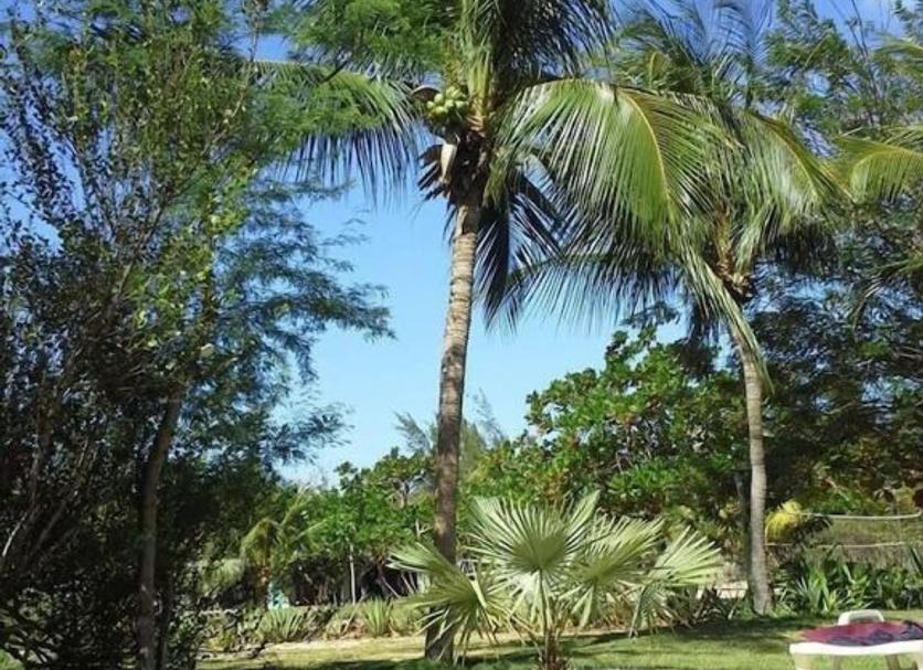 สระว่ายน้ำ รูปภาพ