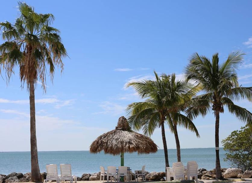 ชายหาด รูปภาพ