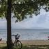 ชายหาด