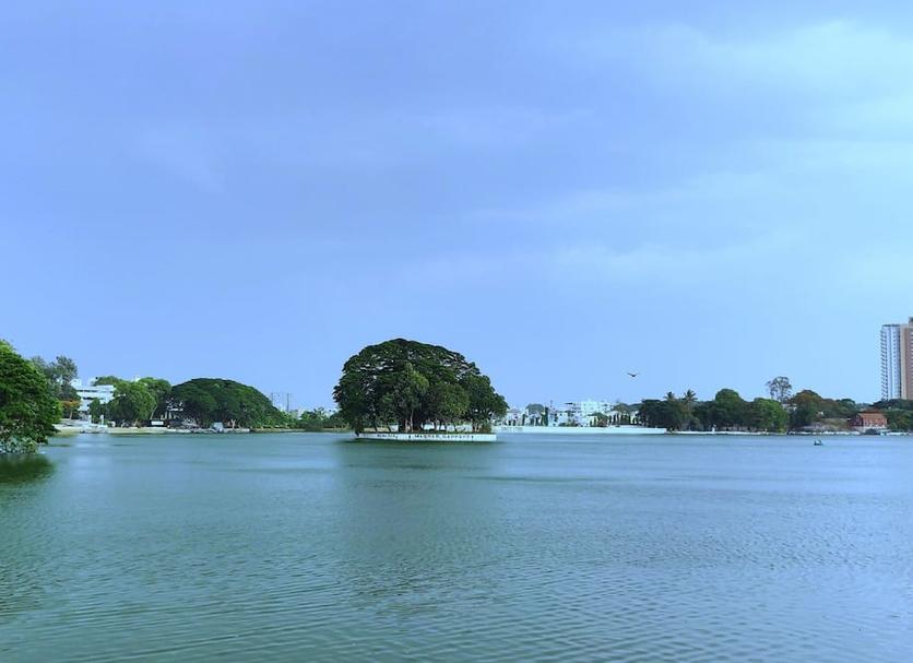 อื่น ๆ รูปภาพ