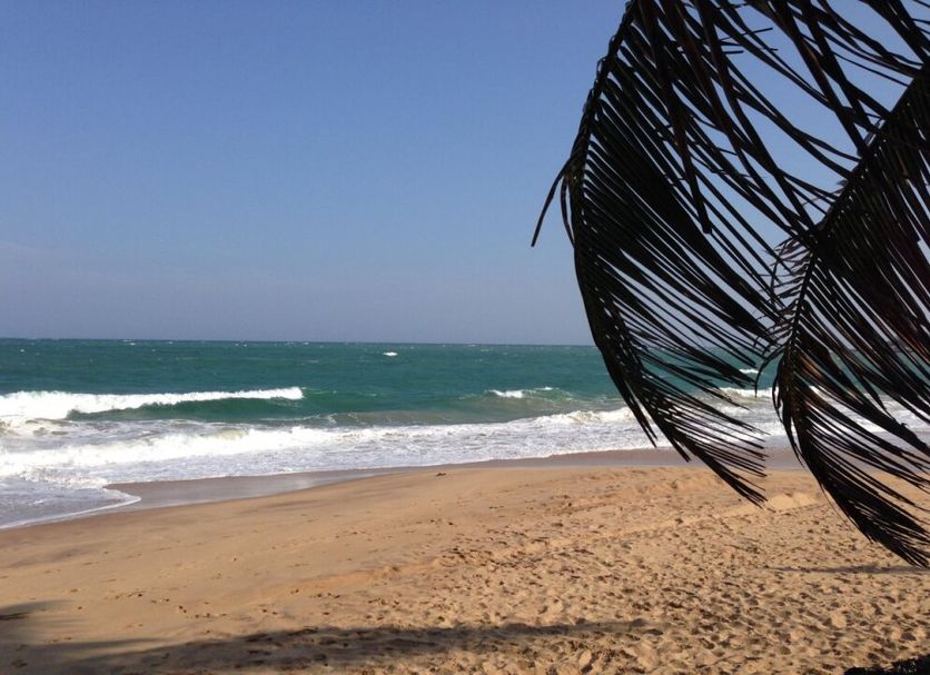 ชายหาด รูปภาพ