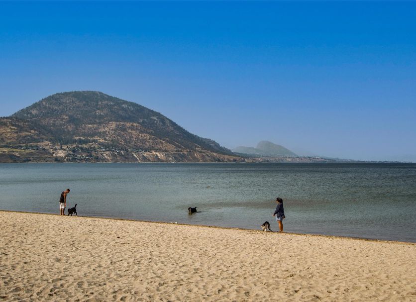 ชายหาด รูปภาพ