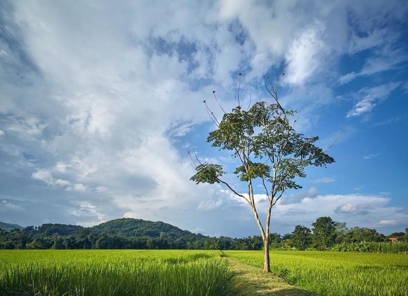 วิวภายนอก รูปภาพ