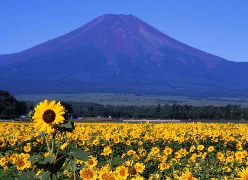 วิวภายนอก รูปภาพ