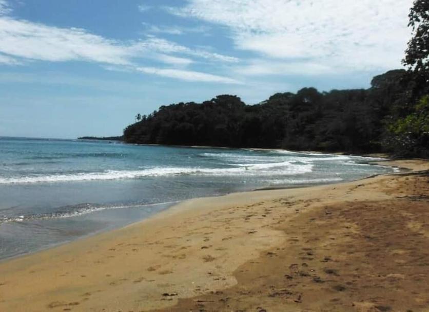 ชายหาด รูปภาพ