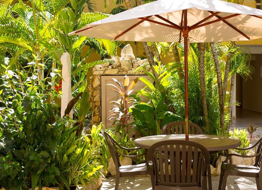 ลาน รูปภาพ