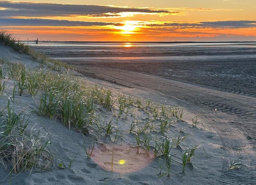 ชายหาด รูปภาพ