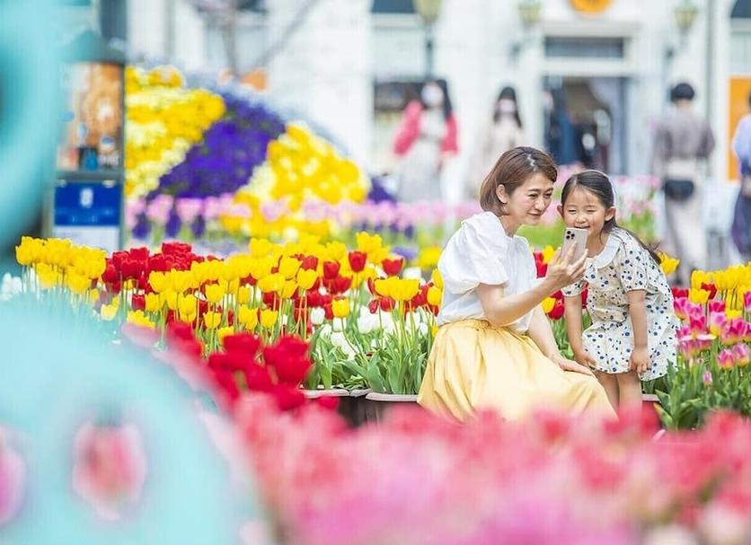 อื่น ๆ รูปภาพ