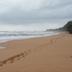 ชายหาด