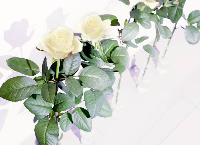 สิ่งอำนวยความสะดวกห้องพัก รูปภาพ