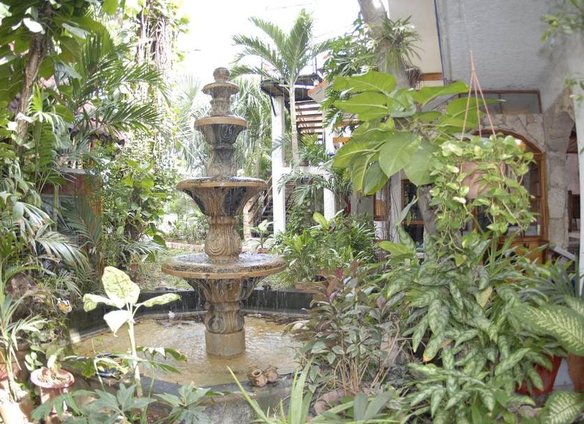ลาน รูปภาพ
