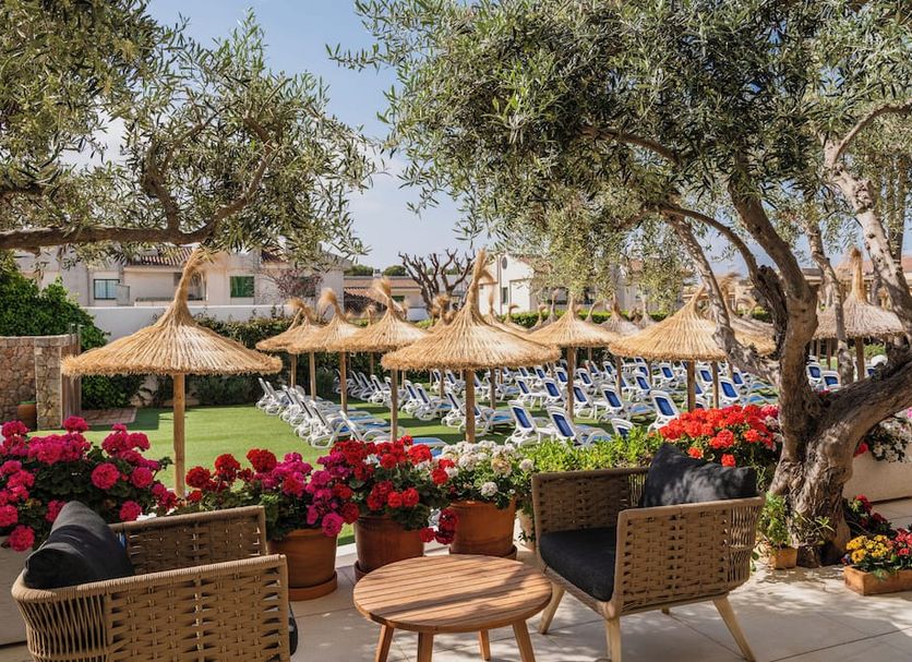 ลาน รูปภาพ