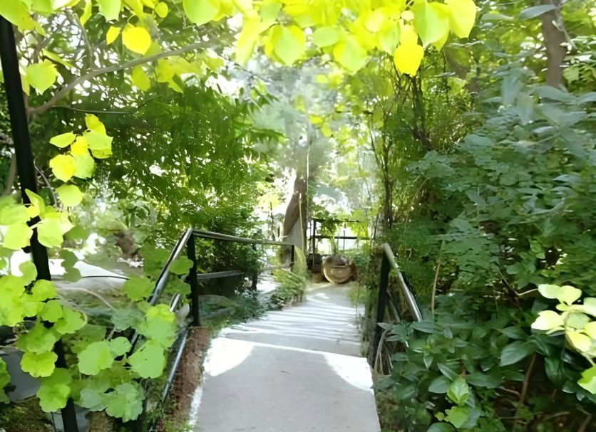 วิวภายนอก รูปภาพ