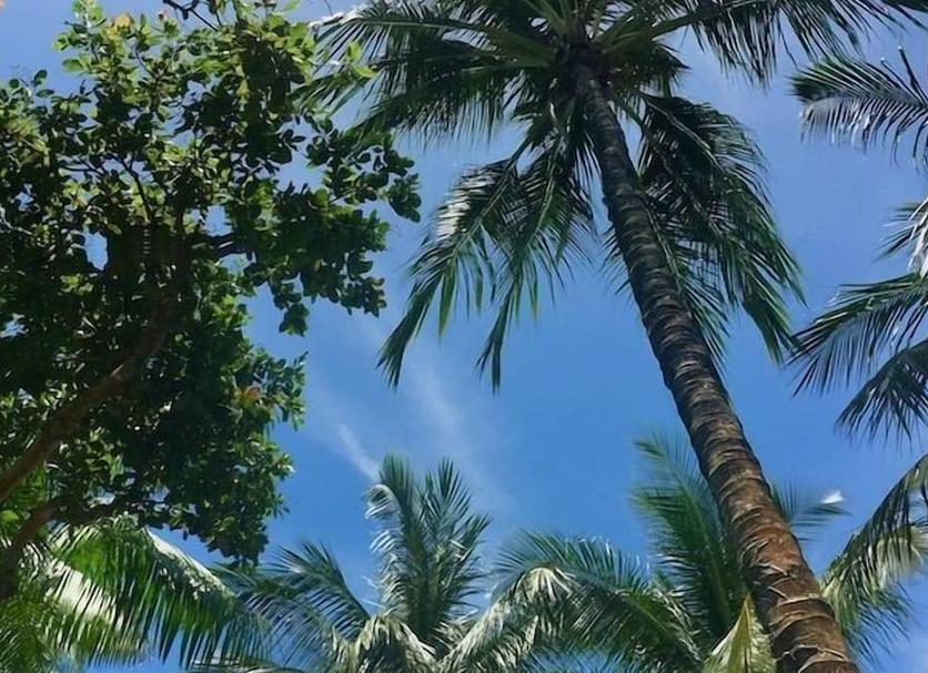 วิวภายนอก รูปภาพ