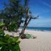 ชายหาด