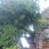 วิวภายนอก